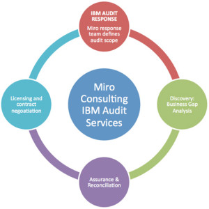 MIro Consulting IBM Audit Services
