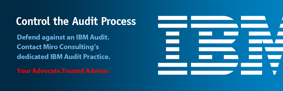 IBM - Control the Audit Process